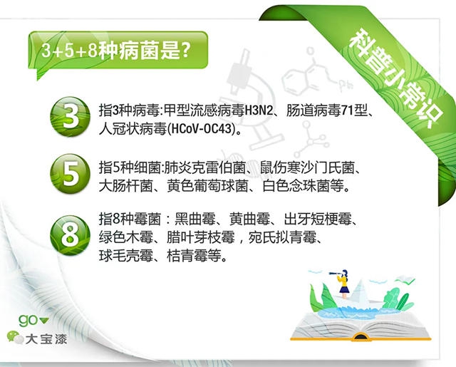 大寶抗病毒全效牆麵漆│護牆鋅淨界