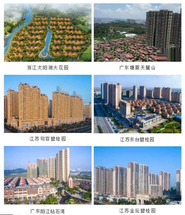 做一成一 | 經典品牌聯手碧桂園，為(wei) 綠色建築護航