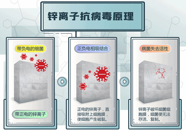 大寶漆 抗病毒全效牆麵漆│護牆鋅淨界