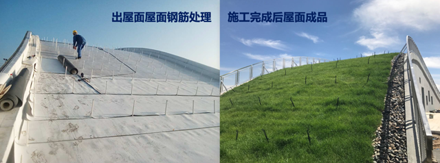 防水材料要“綠”了？卓寶有話說：