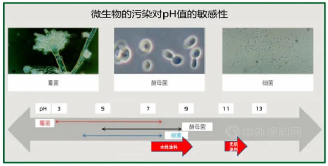 久諾高效無機抗菌防黴塗料 牆麵抗菌防黴新選擇