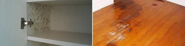 亞(ya) 士：室內(nei) 防水有它就夠了……