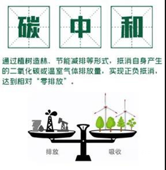 巴德富：一文帶你輕鬆讀懂“碳”知識！