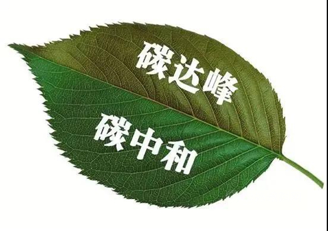 巴德富:供應鏈體(ti) 係也可以實現低碳？