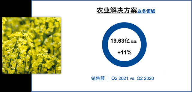 巴斯夫二季度業(ye) 績繼續強勢