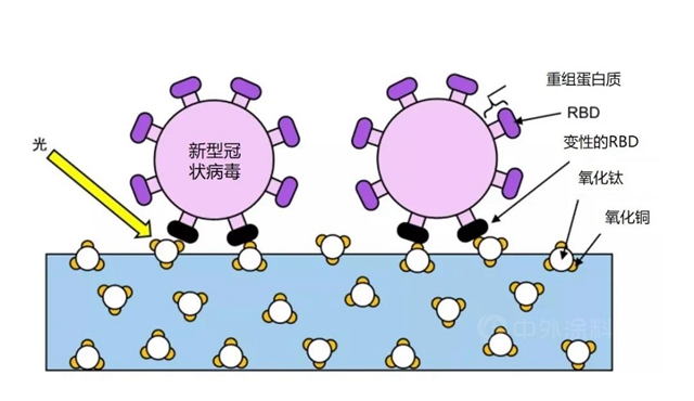 創新塗層科技！立邦與(yu) 東(dong) 京大學聯合實驗聲明：新型納米光觸媒技術能有效抑製塗層表麵新冠病毒和Alpha變異病毒
