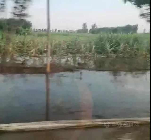 風雨同舟 守望相助——集泰股份馳援河南 首批物資已到達