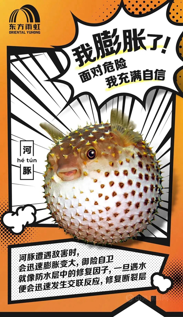 東(dong) 方雨虹防水冷知識 | 關(guan) 鍵時刻TA該如何應對？
