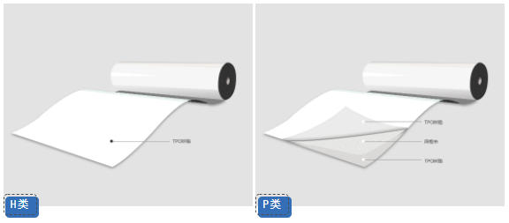 試產(chan) 成功！卓寶新增高分子防水卷材產(chan) 線，助推“雙碳”目標
