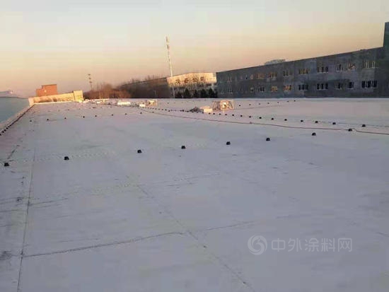 試產(chan) 成功！卓寶新增高分子防水卷材產(chan) 線，助推“雙碳”目標