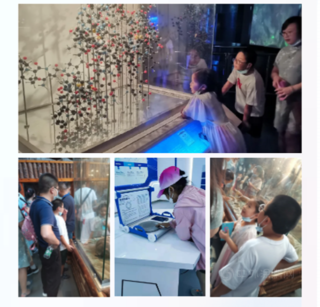 與(yu) 你“童”行 | 巴德士開展暑期趣味親(qin) 子活動，溫情傳(chuan) 遞“家”文化