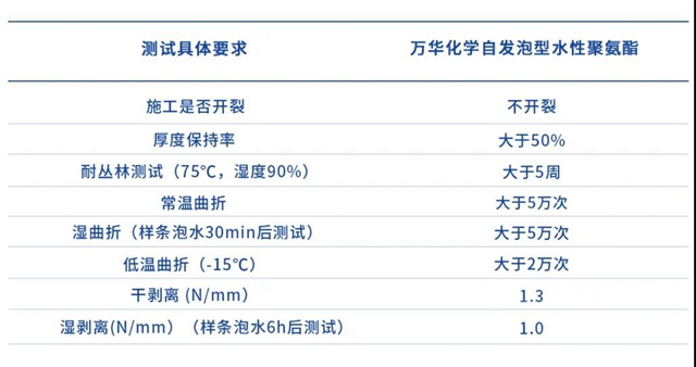 “自”出心裁——萬(wan) 華化學自發泡型水性聚氨酯