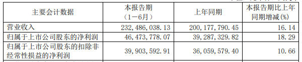 別小看半年報賺錢不多的鬆井新材！