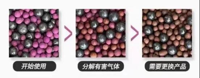 強強聯合！富思特牽手中石油昆侖(lun) 好客拓展空淨市場！