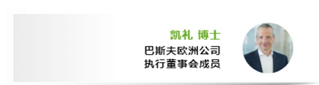 巴斯夫杉杉電池材料有限公司成立