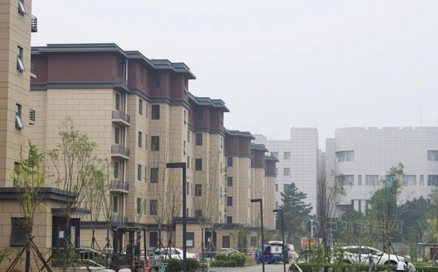三棵樹 一築一風景丨開學季高校環境再度升級，綠色校園迎接新同學