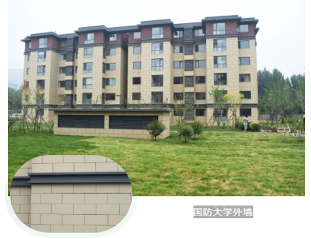三棵樹 一築一風景丨開學季高校環境再度升級，綠色校園迎接新同學