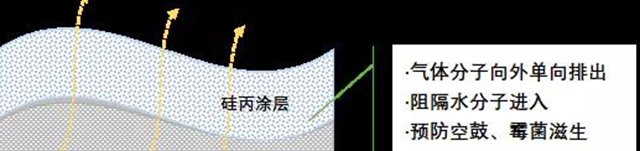 讓牆麵長期保持新鮮度│大寶高耐候矽丙外牆體(ti) 係