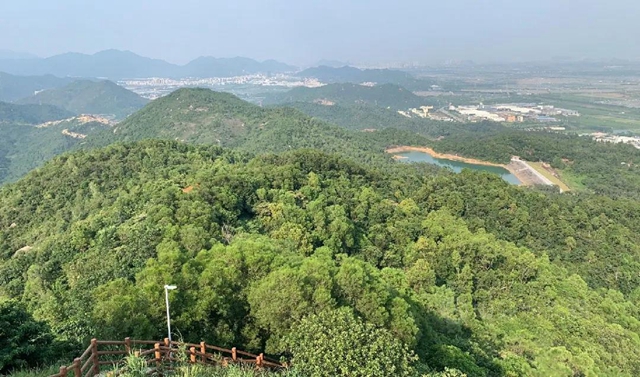 激發活力，健康生活 | 珠海工廠幹部團隊勇攀孖髻登山活動