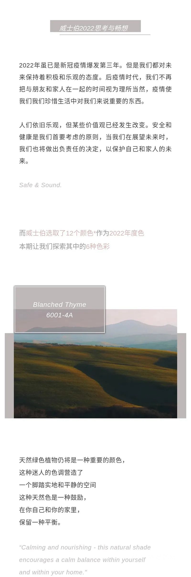 威士伯2022年度色全球首發！用顏色定義(yi) 未來美學！