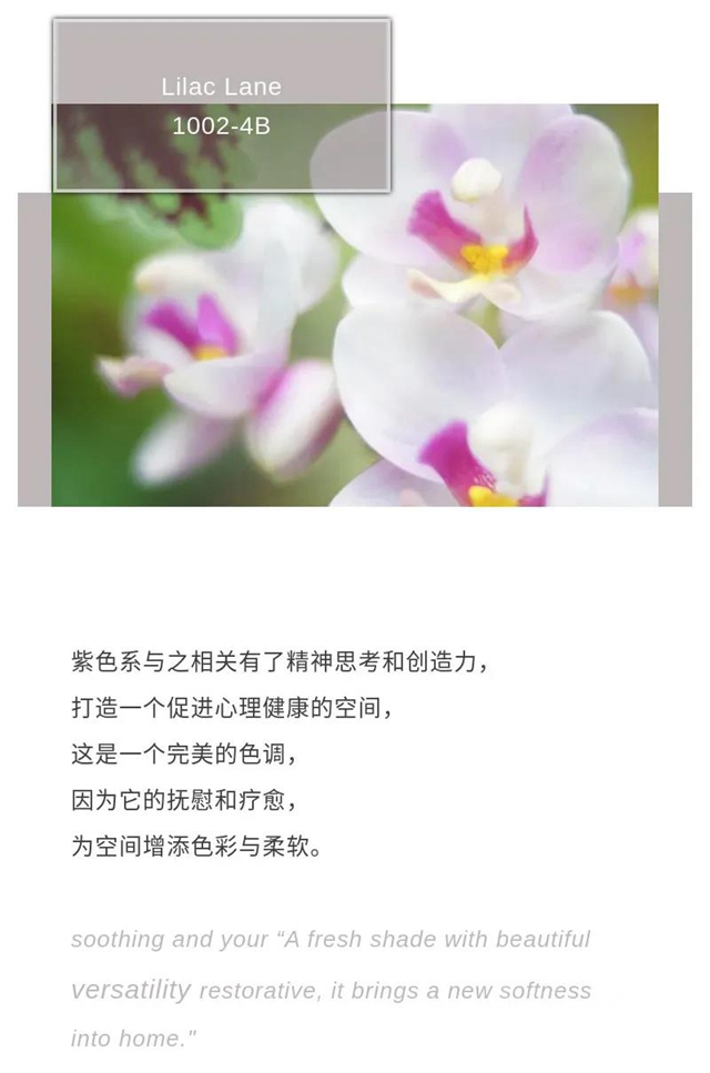 威士伯2022年度色全球首發！用顏色定義(yi) 未來美學！