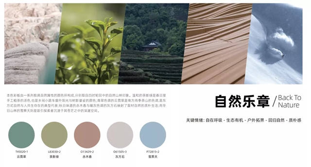 三棵樹發布2022年色彩趨勢