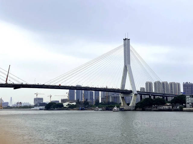 綠色防護 恒久守護I三棵樹工業(ye) 塗料助力廣東(dong) 鶴洞大橋大中修工程