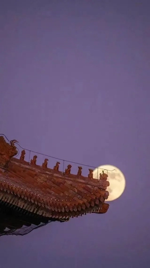阿克蘇諾貝爾：擦亮心中那一抹中國紅
