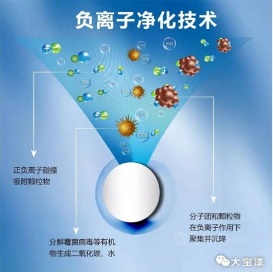 大寶漆荷蘭(lan) 技術 暢享森林呼吸｜高倍安負離子牆麵漆