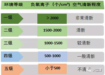 大寶漆荷蘭(lan) 技術 暢享森林呼吸｜高倍安負離子牆麵漆
