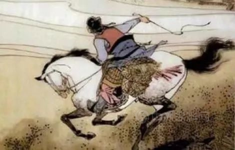 阿克蘇諾貝爾：驛路梨花處處開——深圳國際健康驛站項目隨想