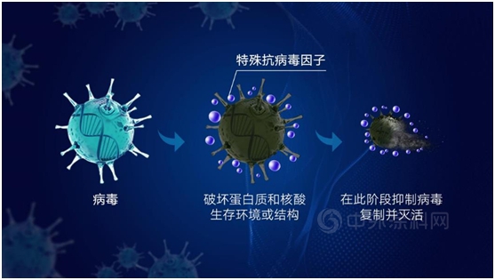 立邦抗病毒卷材塗料如何為(wei) 畜牧業(ye) 提供安全的防疫保護？