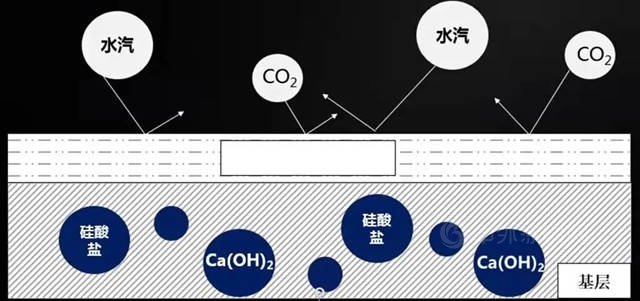 新品上市 | 這個(ge) “綠色”聖誕節，美塗士抗鹽硝彩色柔韌型防水陪你過