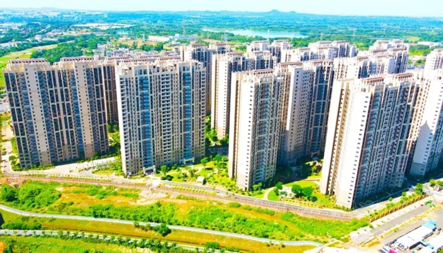 共創共贏！三棵樹·大禹九鼎獲中建二局合作共贏獎