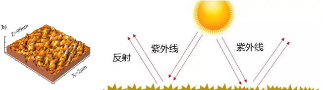讓城市更美麗(li) 丨三棵樹真石漆10年“不髒”的秘密