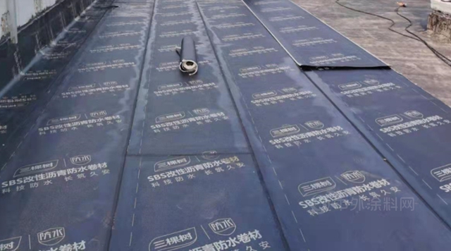 三棵樹工程綠色建材一站式集成係統，助力安徽森源綠色工廠建設