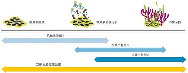 防汙get！PPG最新船舶保護小能手已就位！
