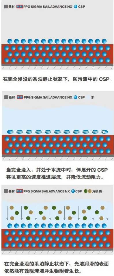 防汙get！PPG最新船舶保護小能手已就位！