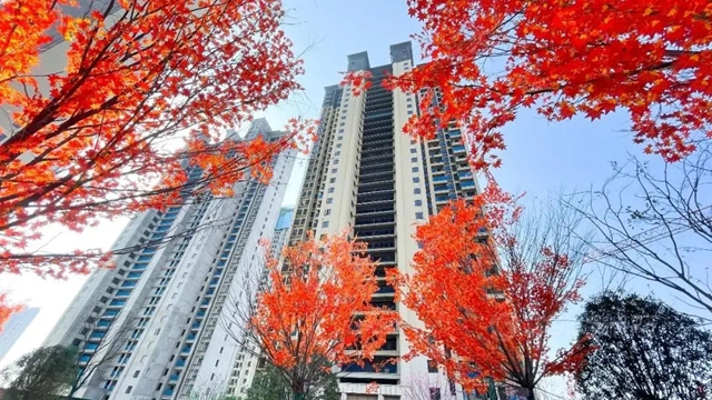 久諾集團×中建三局城投公司線上交流分享會(hui) 圓滿舉(ju) 行！