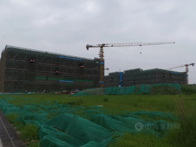 三棵樹防水攜手中建八局西南分公司，賦能霧都山城跑出發展“加速度”