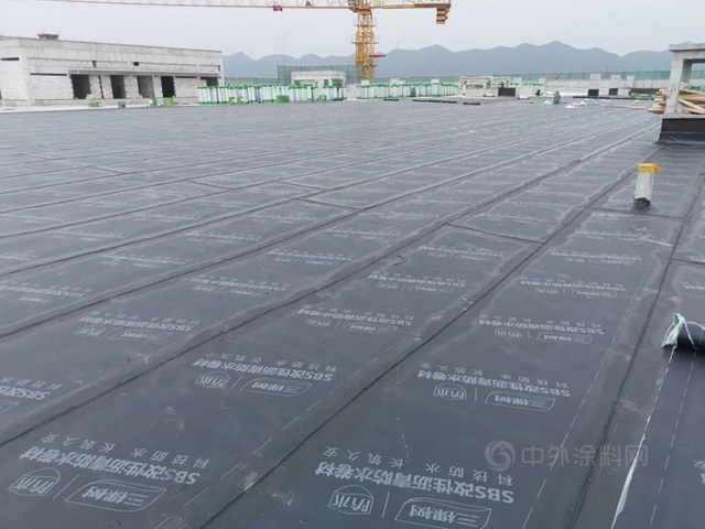 三棵樹防水攜手中建八局西南分公司，賦能霧都山城跑出發展“加速度”