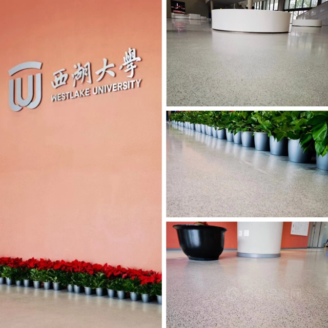 嘉磨石走進中國高等學府—西湖大學，為(wei) 教育興(xing) 國大道助力鋪路！