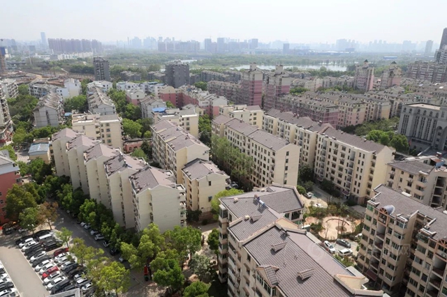 三棵樹工程城市煥新服務賦能武漢民生工程建設，為(wei) 城市打造綠色人居環境