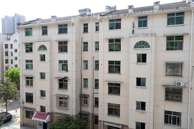 三棵樹工程城市煥新服務賦能武漢民生工程建設，為(wei) 城市打造綠色人居環境