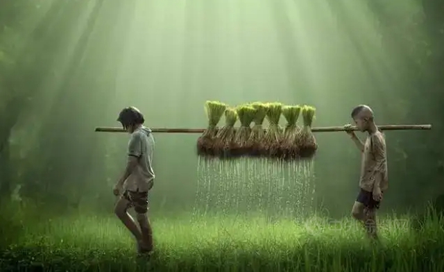 塗企為(wei) 什麽(me) 要過苦日子？賺錢方法千萬(wan) 條！
