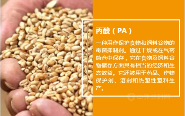 中國石化與(yu) 巴斯夫為(wei) 南京一體(ti) 化基地擴建項目奠基