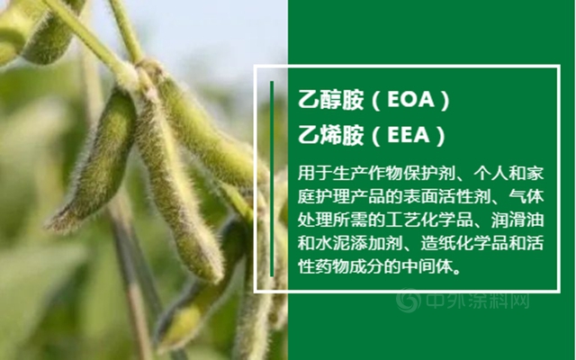 中國石化與(yu) 巴斯夫為(wei) 南京一體(ti) 化基地擴建項目奠基