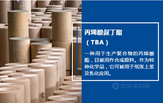中國石化與(yu) 巴斯夫為(wei) 南京一體(ti) 化基地擴建項目奠基