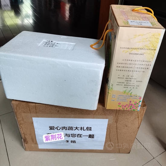 同心守滬，紫荊花人的眼裏有“他/她”