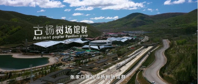 進階百億(yi) 塗企！三棵樹大國品牌的淬煉之路